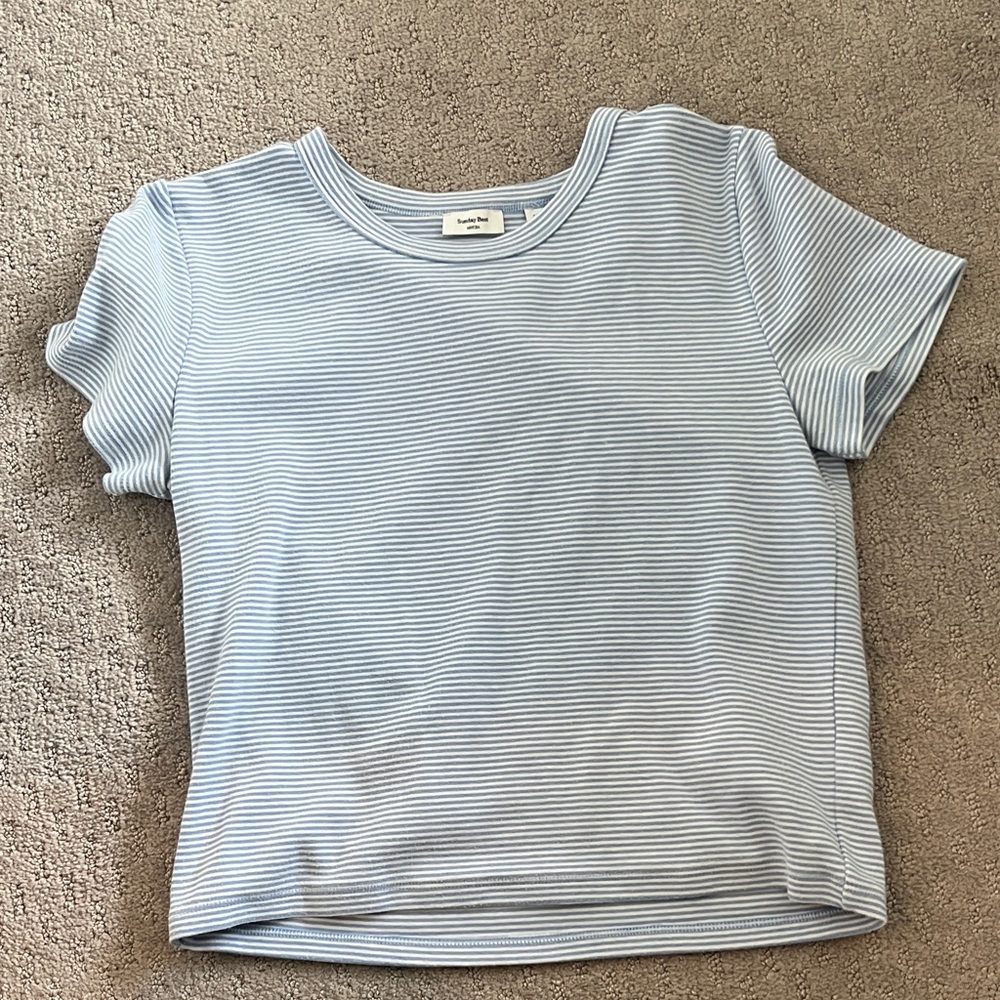 Aritzia Sunday Best Striped Blue and White T-Shirt